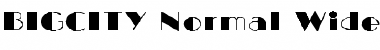 Download BIGCITY-Normal Wide Regular Font Title Preview