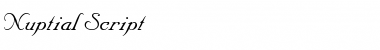 Download Nuptial Script Medium Italic Font Title Preview