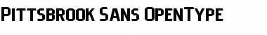 Download Pittsbrook Sans Regular Font Title Preview