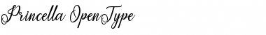 Download Princella Bold Font Title Preview