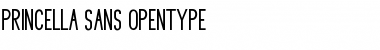 Download Princella Sans Regular Font Title Preview