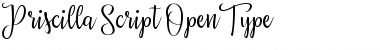 Download Priscilla Script Regular Font Title Preview