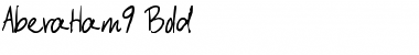 Download AberaHam9 Bold Font Title Preview