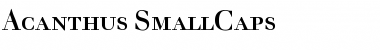 Download Acanthus Regular Font Title Preview