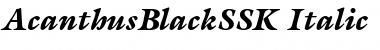 Download AcanthusBlackSSK Italic Font Title Preview