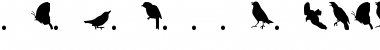 Download Birdsbutterflies Regular Font Title Preview