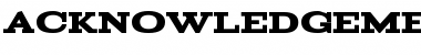 Download Acknowledgement Regular Font Title Preview