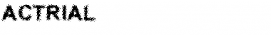 Download ACTRIAL Normal Font Title Preview