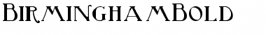Download BirminghamBold Regular Font Title Preview