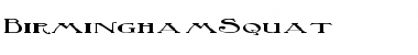 Download BirminghamSquat Regular Font Title Preview