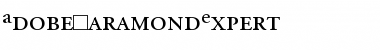 Download AdobeGaramondExpert Roman Font Title Preview