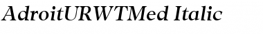 Download AdroitURWTMed Italic Font Title Preview