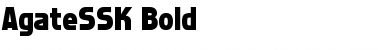 Download AgateSSK Bold Font Title Preview