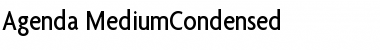Download Agenda Regular Font Title Preview