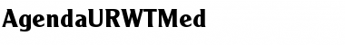 Download AgendaURWTMed Regular Font Title Preview