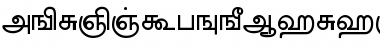 Download AkrutiTmlBarathi Bold Font Title Preview