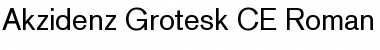 Download AkzidenzGroteskCE Roman Font Title Preview