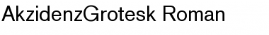 Download AkzidenzGrotesk Roman Font Title Preview