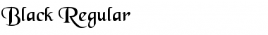 Download Black Regular Font Title Preview