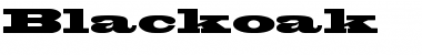 Download Blackoak Regular Font Title Preview
