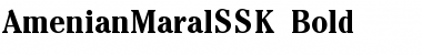 Download AmenianMaralSSK Bold Font Title Preview