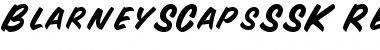 Download BlarneySCapsSSK Regular Font Title Preview