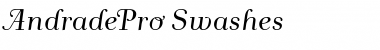 Download Andrade Pro Swashes Font Title Preview
