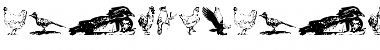 Download AnimalsAnimalsBirds Regular Font Title Preview