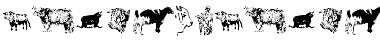 Download AnimalsAnimalsBovine Regular Font Title Preview