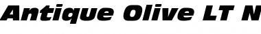 Download AntiqueOlive LT Nord Italic Font Title Preview