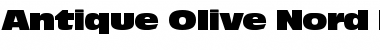 Download Antique Olive Nord P Regular Font Title Preview