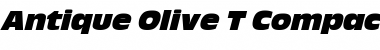 Download Antique Olive T Italic Font
