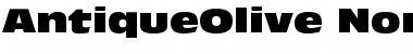 Download AntiqueOlive Nord Font Title Preview