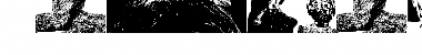 Download AParliamentofOwls3 Regular Font Title Preview