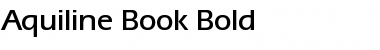 Download Aquiline Book Bold Font Title Preview