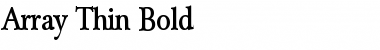 Download Array Thin Bold Font Title Preview