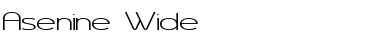 Download Asenine Wide Regular Font Title Preview