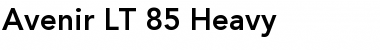 Download Avenir LT 55 Roman Bold Font Title Preview