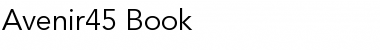 Download Avenir45-Book Book Font Title Preview