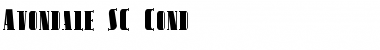 Download Avondale SC Cond Regular Font Title Preview