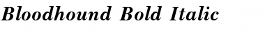 Download Bloodhound Bold Italic Bold Italic Font Title Preview