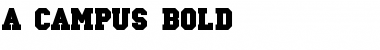 Download a_Campus Bold Font
