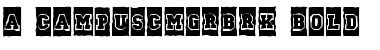 Download a_CampusCmGrBrk Font