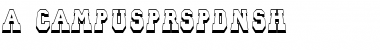 Download a_CampusPrspDnSh Font