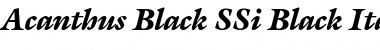 Download Acanthus Black SSi Black Italic Font Title Preview