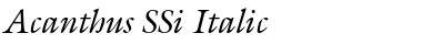 Download Acanthus SSi Italic Font Title Preview