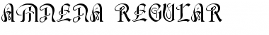 Download AMNENA Regular Font Title Preview
