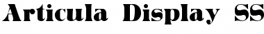 Download Articula Display SSi Regular Font Title Preview