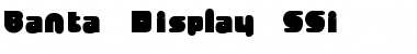 Download Banta Display SSi Regular Font Title Preview