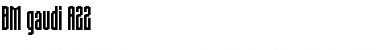 Download BM gaudi A22 Font Title Preview